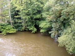 P7010003.JPG