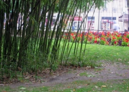 11-06-19 Concert Lux_5976 red.jpg