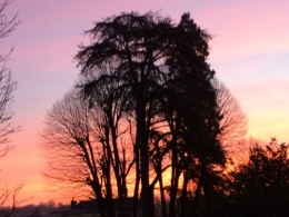 poésie,écriture,photo,arbres,lever de soleil