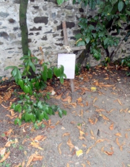 La tombe-red.JPG