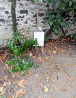 La tombe.JPG