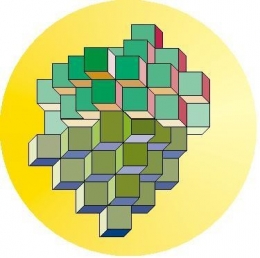 Construction disymétrique.JPG