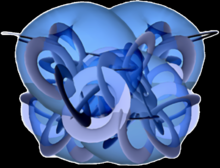 Espace_de_Calabi-Yau.png