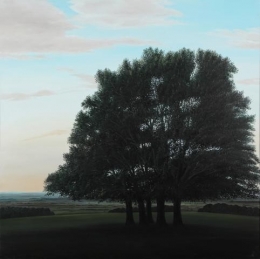 Bosquet dans un pré.jpg