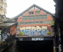 1-P1010980.JPG