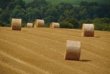rouleaux de paille.jpg
