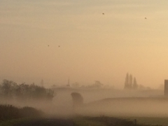 spleen, hébétude, voile, brume