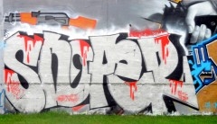 PB230018.JPG