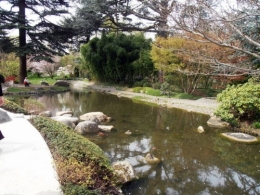 nature,environnement,japon,jardin,zen