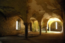 ImaIMGPr0946.JPG