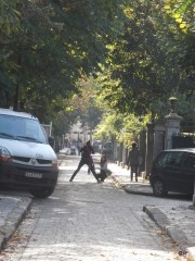 12-10-23 Rue 2.JPG