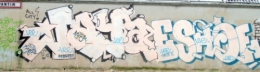 PB230001.JPG