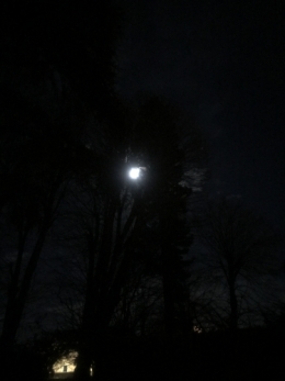 IMG_1868.JPG