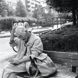 © gildas de la monneraye - Symphonie Nippone - 117.jpeg