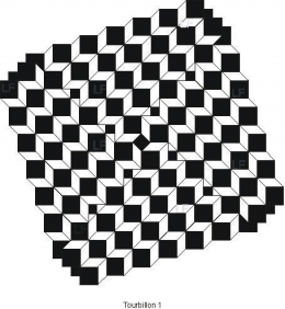 11-06-16 Tourbillon 1 N&B Fil.JPG