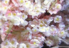 11-05-21 Puces 4.JPG