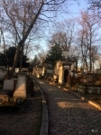 1-IMG_6201.JPG