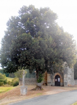 12-11-05 Chapelle Périgord.JPG