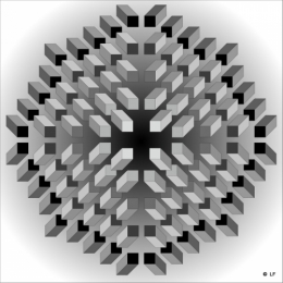 1-13-11-20 Humeur1 .jpg