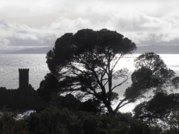 13-03-30 L'île noire 2.JPG