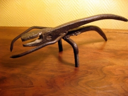 11-09-12 Reptile2.jpg