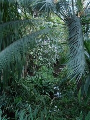 P1010025.JPG