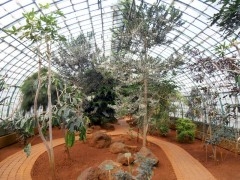 P1010056.JPG
