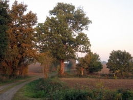 poésie,littérature