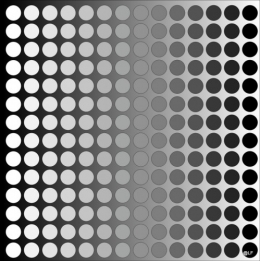 12-06-05 E36 cercles.jpg