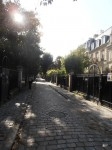 12-10-23 Rue1.JPG