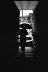 © gildas de la monneraye - Symphonie Nippone - 110.jpeg
