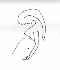 19-06-10 Femme en rond 2.jpg