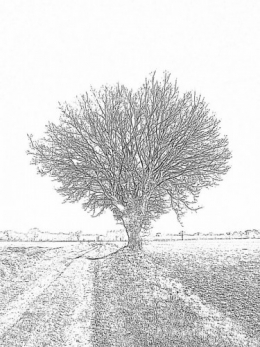 1-P3120008.JPG