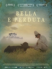 cinéma,beauté,italie,camora,buffle