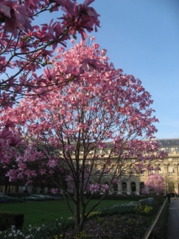 11-03-22 Palais Royal 1 red.jpg