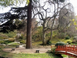 nature,environnement,japon,jardin,zen