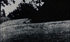 Blow-up1.jpg