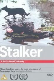 11-12-23 Stalker 1.jpg
