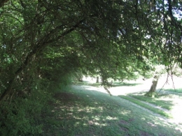 11-06-26 Dormelles 94.jpg