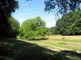11-06-26 Dormelles 90.jpg
