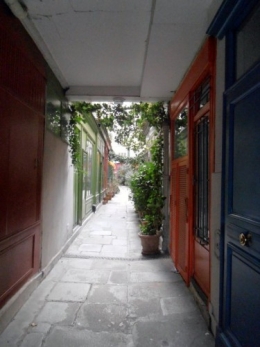 P2060019 (2).JPG