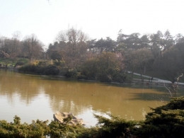 Montsouris 8 lac4 red.JPG