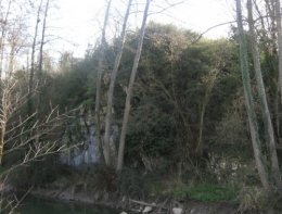 Erve-7.jpg