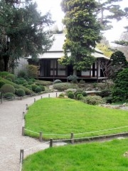 nature,environnement,japon,jardin,zen