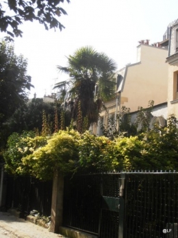 12-10-23 Maison 3.JPG