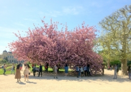 18-04 Paris (93).JPG
