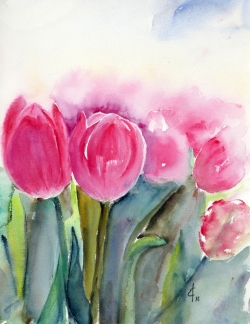 tulipes roses