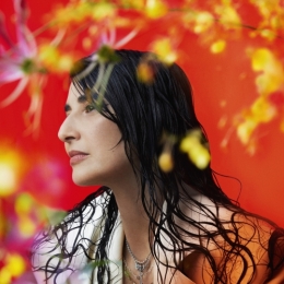 Yara Lapidus, Back to colors