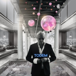 todem,clip,les jours meilleurs,musique,les hirondelles,studio ferber,chanson,envolée mon ange,parolier,auteur,single