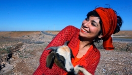 blue nomada, sophia, charaî